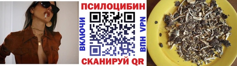 Галлюциногенные грибы GOLDEN TEACHER где найти Богородицк